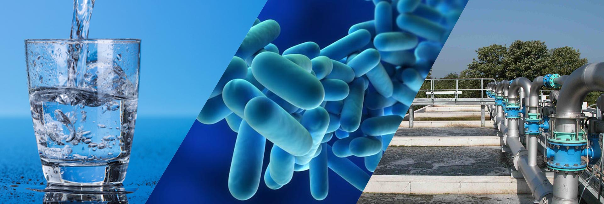 Acque potabili e acque di scarico